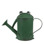 Decoratie Gieter 37x15x25 cm Groen Metaal Kikker Plantengieter