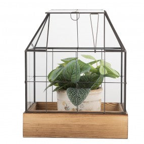 Decoratie Kweekkastje 26x17x32 cm Transparant Glas