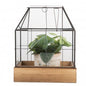 Decoratie Kweekkastje 26x17x32 cm Transparant Glas